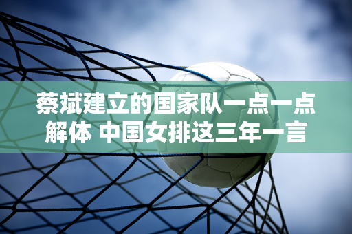 蔡斌建立的国家队一点一点解体 中国女排这三年一言难尽