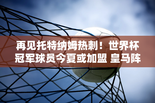 再见托特纳姆热刺！世界杯冠军球员今夏或加盟 皇马阵容无弱点