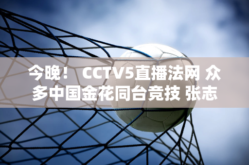 今晚！ CCTV5直播法网 众多中国金花同台竞技 张志臻晋级男单16强