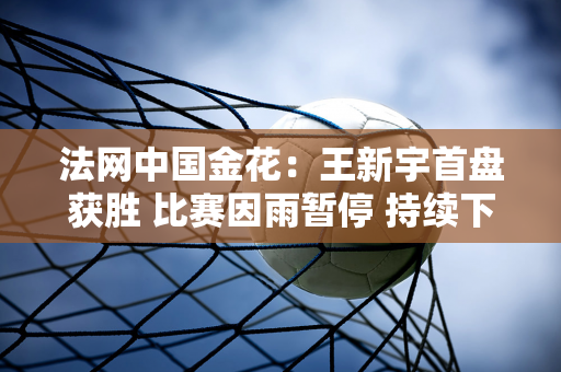 法网中国金花：王新宇首盘获胜 比赛因雨暂停 持续下雨该如何解决问题？