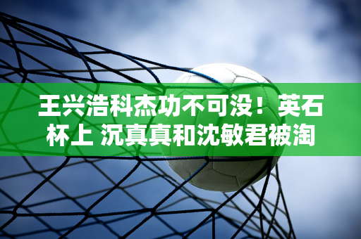 王兴浩科杰功不可没！英石杯上 沉真真和沈敏君被淘汰 为中国队夺冠奠定了基础