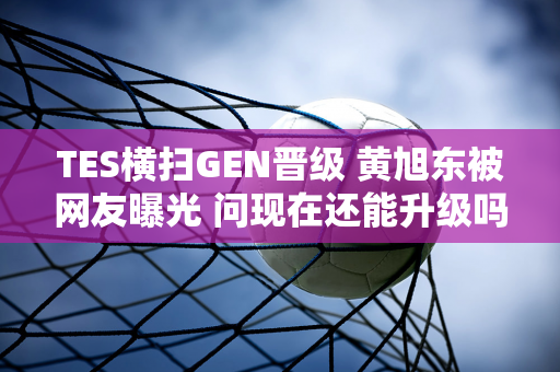 TES横扫GEN晋级 黄旭东被网友曝光 问现在还能升级吗？