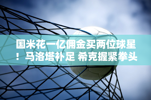 国米花一亿佣金买两位球星！马洛塔补足 希克握紧拳头怒吼