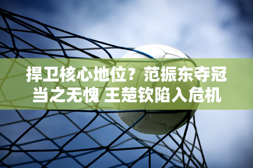 捍卫核心地位？范振东夺冠当之无愧 王楚钦陷入危机 王皓满意