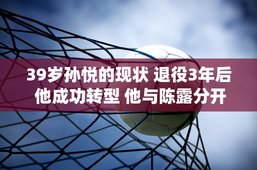 39岁孙悦的现状 退役3年后 他成功转型 他与陈露分开 依然潇洒