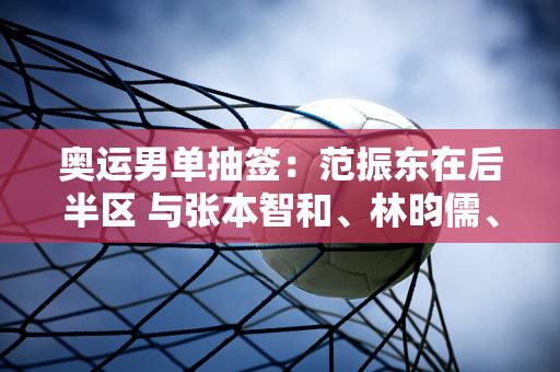 奥运男单抽签：范振东在后半区 与张本智和、林昀儒、勒布伦同区