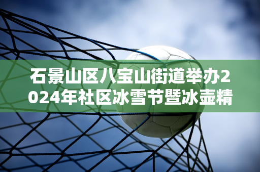 石景山区八宝山街道举办2024年社区冰雪节暨冰壶精英挑战赛